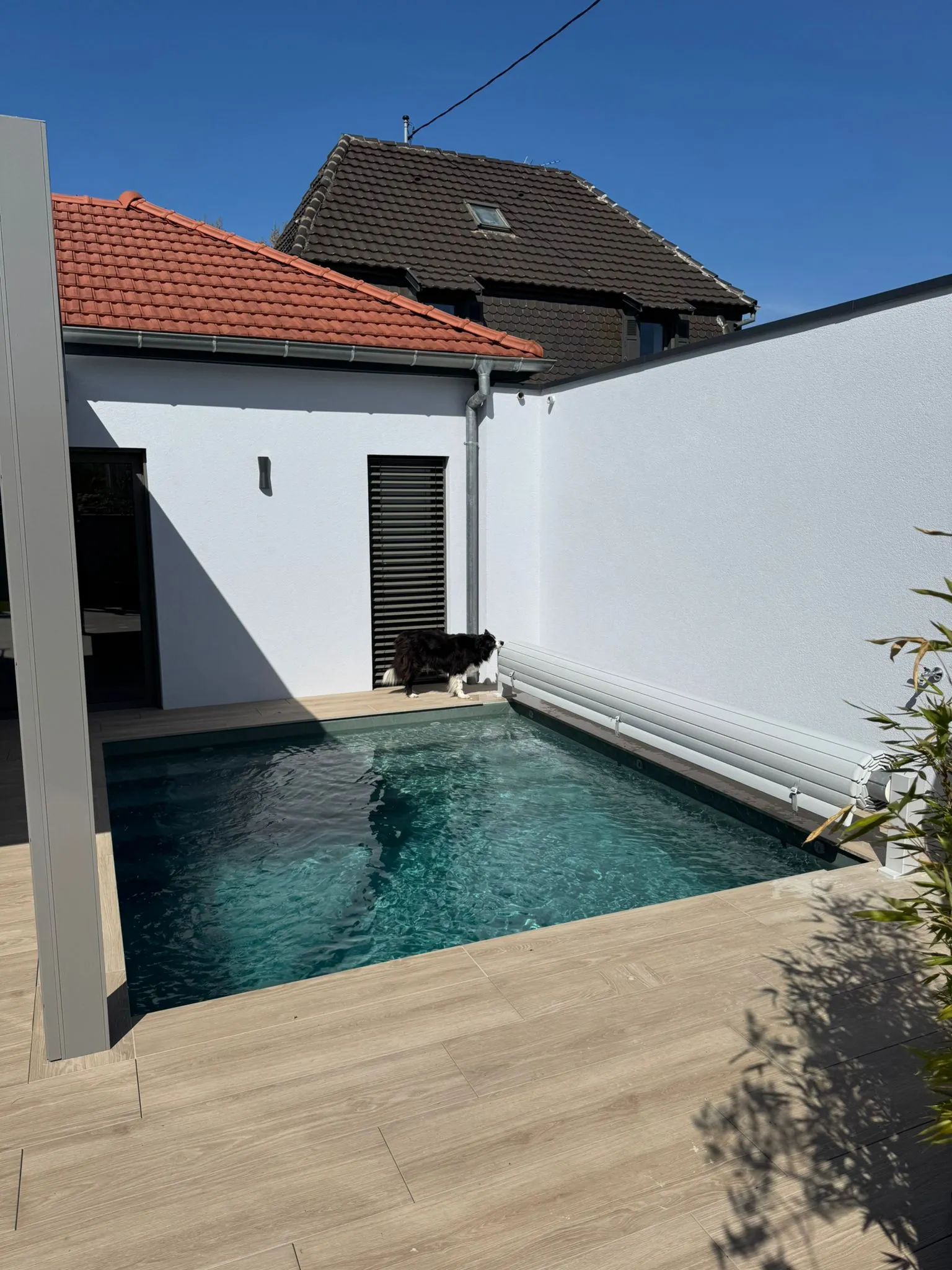 Mini piscine oasis extérieur en eau
