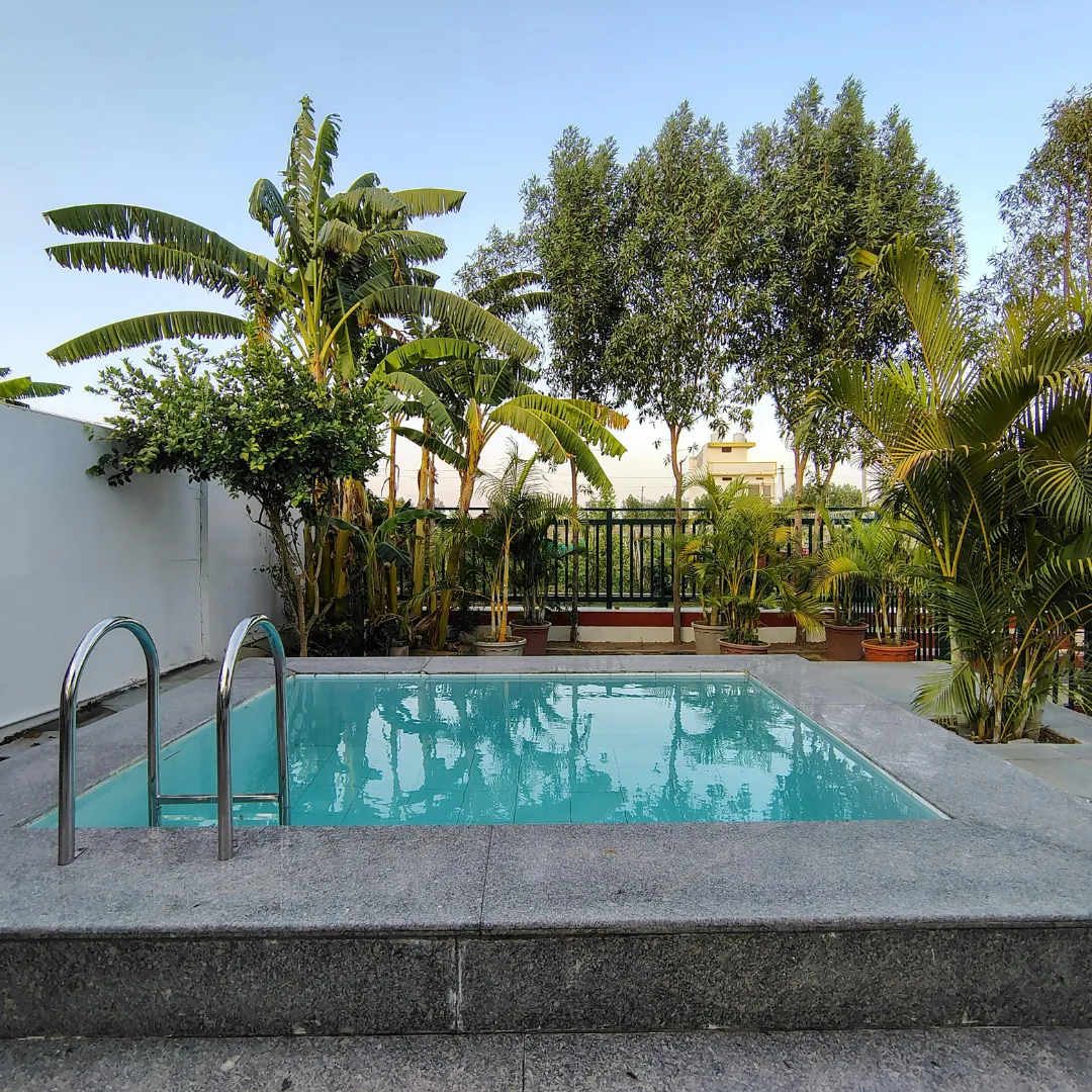 Piscine oasis enterrée extérieur en eau