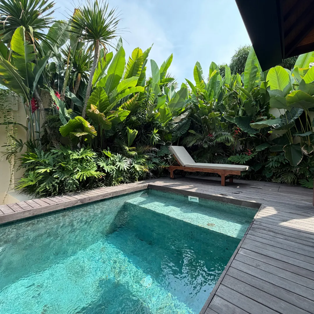 Piscine oasis enterrée extérieur en eau
