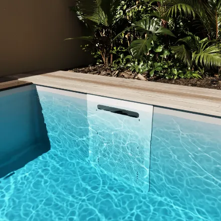 Mini Piscine extérieur enterrée de nage en eau