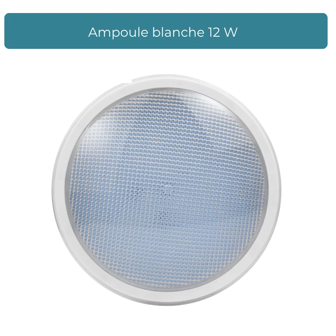ampoule_blanche_12w_1