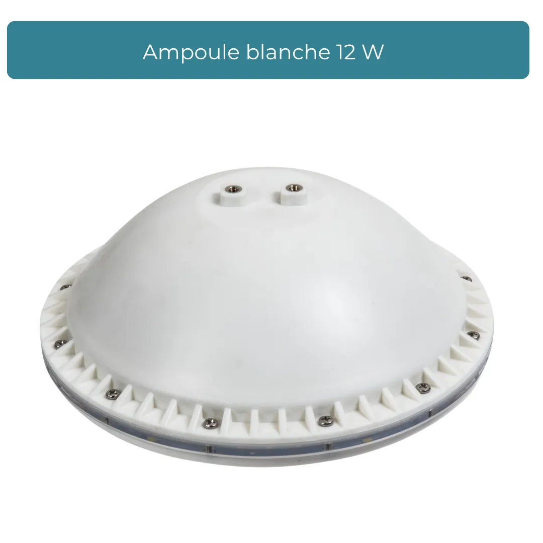 ampoule_blanche_12w_3