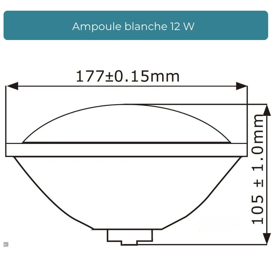 ampoule_blanche_12w_5